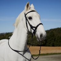 Denver Bitless Bridle