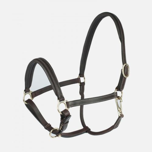 Largo Padded Leather Halter