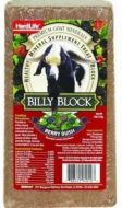 Billy Block