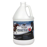 Essential E