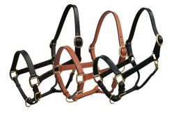 Leather Horse Halter