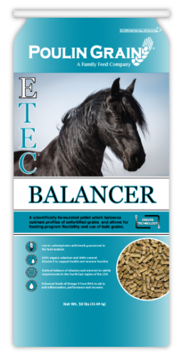 E-Tec Balancer Pellet