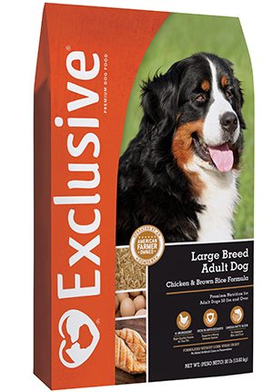 Exclusive Large Breed Adult Dog