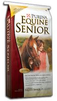 Equine Senior