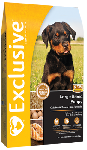 Exclusive Large Breed Puppy