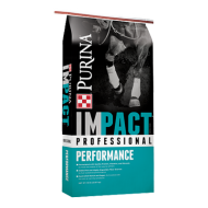 Impact Professional Performance