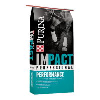 Impact Professional Performance