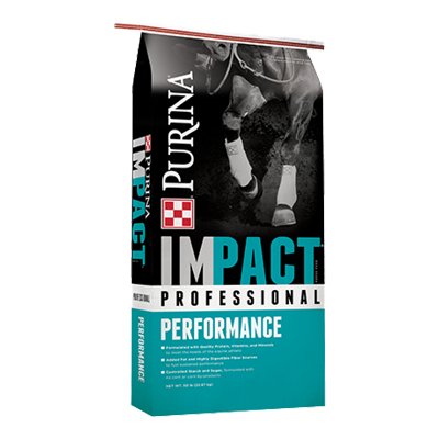 Impact Professional Performance