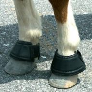 Mini Horse Bell Boots