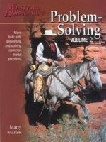 Western Horseman Problem Solving 2
