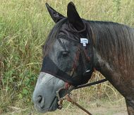 Quiet Ride Fly Mask W/Ears
