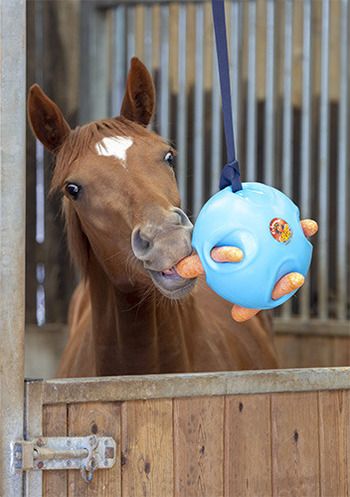 Carrot Ball