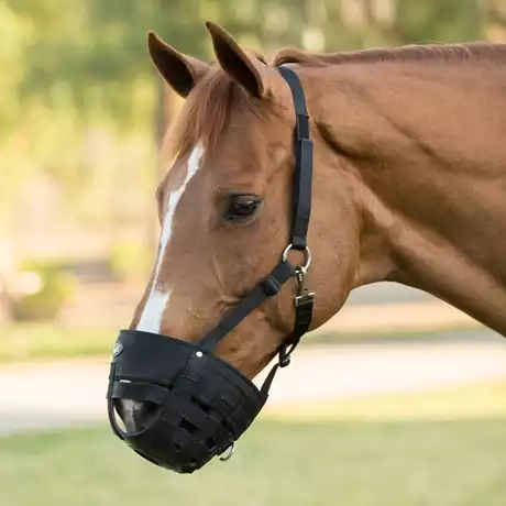 Easy Breathe Grazing Muzzle w/ Adjustably Breakaway Nylon Halter