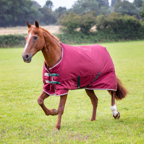 Shires Tempest 200gram Turn out Blanket