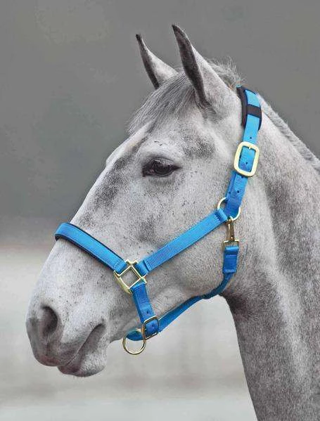 Shires Topaz Leather Breakaway Nylon Halter