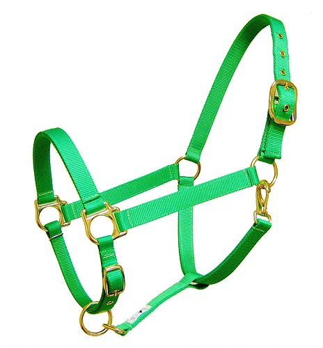 Nylon Halter With Adjustable Nose and Snap